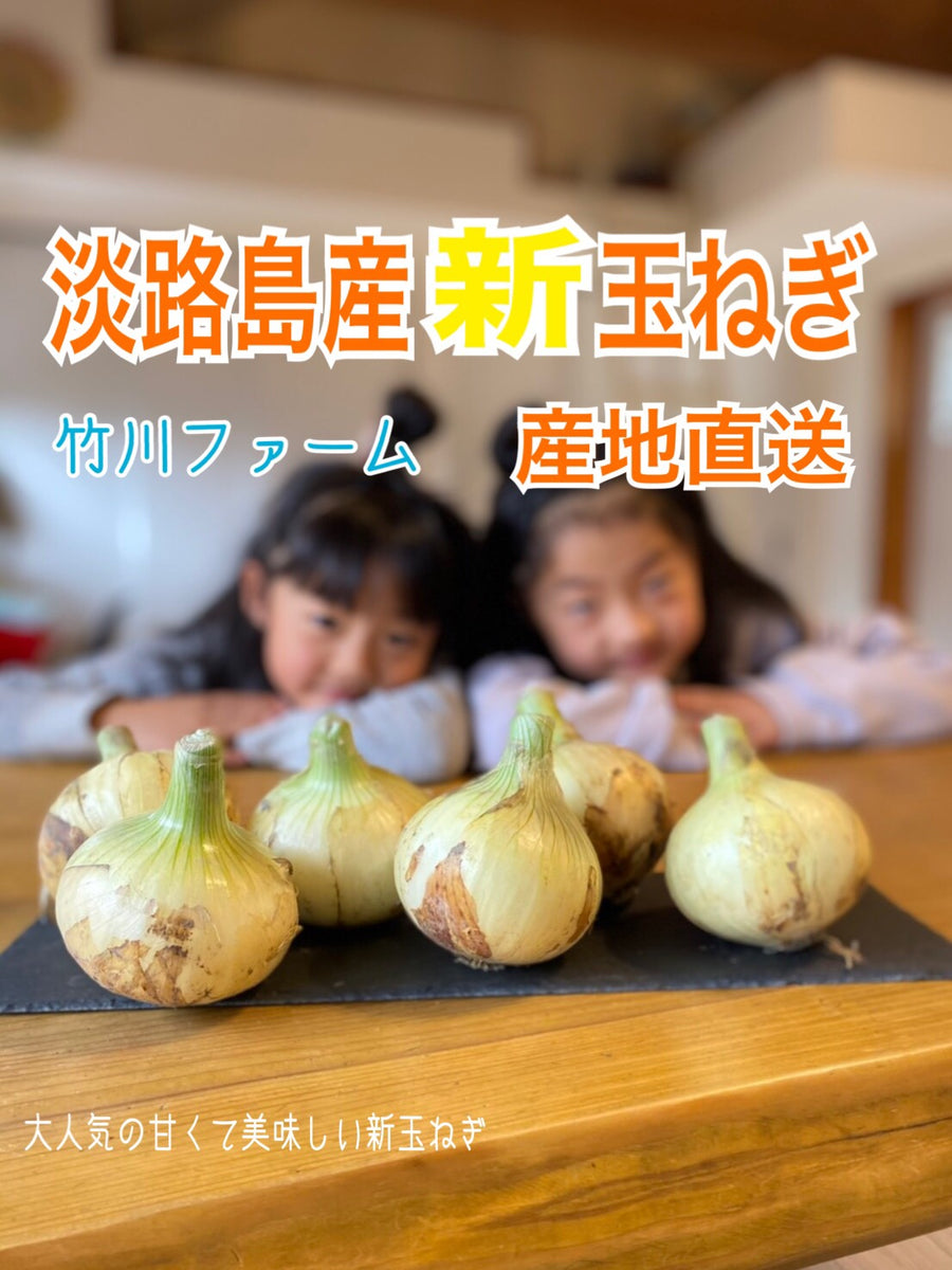 淡路島産新玉ねぎ - 野菜